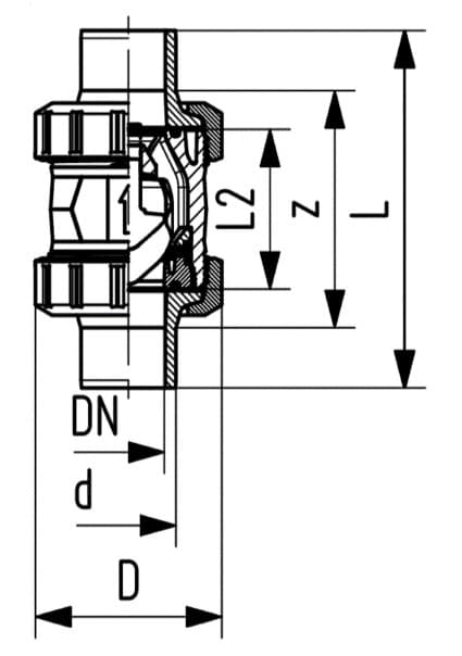 PP Check Valve Type561 FKM