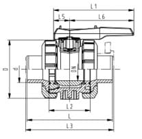 PVDF 雙由任球閥 FKM